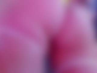 Live cam show with Hii im Alanna and im new here - Brown Hair on nudelive.tv