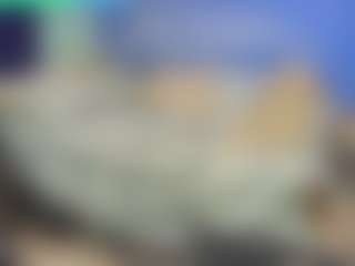 travisxo's Live Sex Cam Show