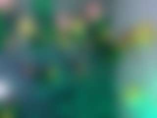 marysol's Live Sex Cam Show
