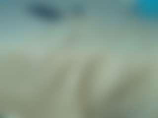 Live cam show with Joha-15 - Moaning on Big Tits
