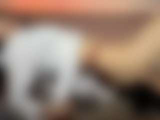 Live cam show with RossieJablonowski - Yoga on SpunkLive