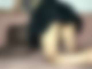 Live cam show with RossieJablonowski - Yoga on Camsoda