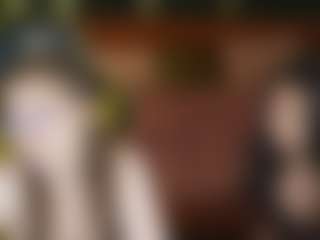 AnettaKiss's Live Sex Cam Show