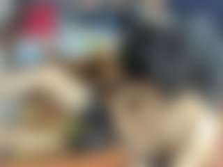 Wex077's Live Sex Cam Show