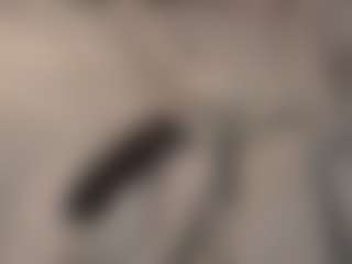 ArethaOvalles's Live Sex Cam Show