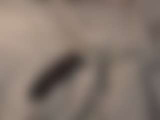ArethaOvalles's Live Sex Cam Show