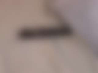 ArethaOvalles's Live Sex Cam Show