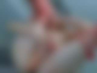 Live cam show with IceBlueBabe - Blue Eyes on googirlz
