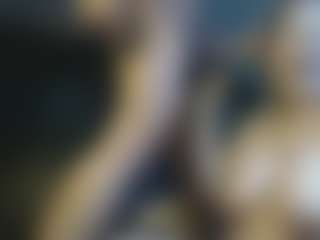 EroticCol's Live Sex Cam Show