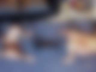 lexxy-luu's Live Sex Cam Show