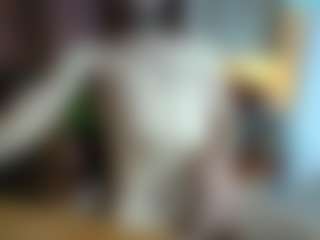 titopastrame64's Live Sex Cam Show