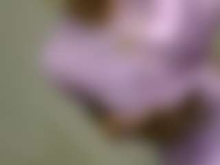 Exotic-Ebonny's Live Sex Cam Show