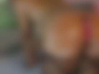 Kittymyers01's Live Sex Cam Show