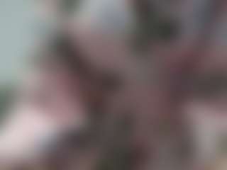 ArgentinaHila's Live Sex Cam Show