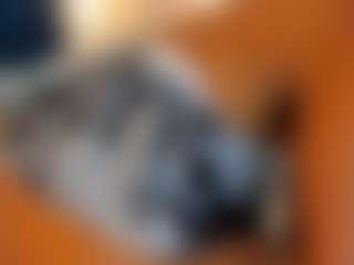 ErikaMoore's Live Sex Cam Show