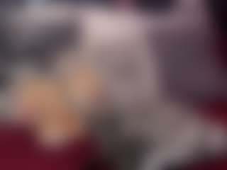 MikeOtthon's Live Sex Cam Show