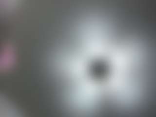 FelisaHarvath's Live Sex Cam Show