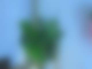 KarenGibbs's Live Sex Cam Show