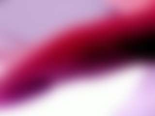 Live cam show with LilaMonroee - Camel Toe on livesexfox.com