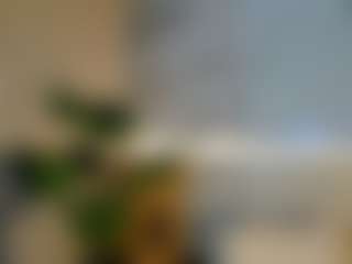 Sienna-Bellucci's Live Sex Cam Show