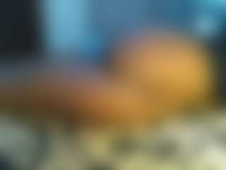 Cutey-pinky's Live Sex Cam Show