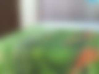 Live cam show with Cutey-pinky - Ass Clapping on AdultVida.com
