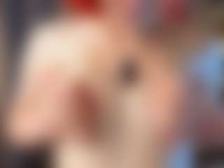 Live cam show with Elizabeth - Upskirt on Chatstar