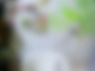 RAMONAmistery's Live Sex Cam Show