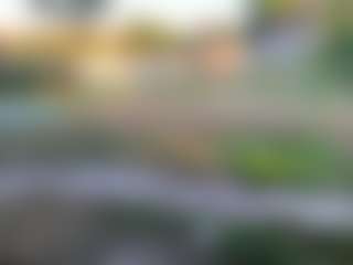 CherlynMidy's Live Sex Cam Show
