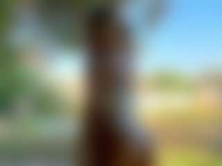 CherlynMidy's Live Sex Cam Show