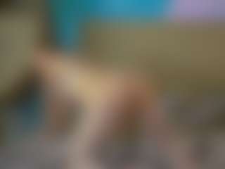 Live cam show with MariaMedow - Twerk on Streamer API