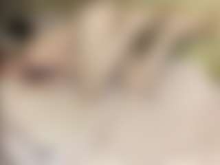 Live cam show with TynishaWilder - Camel Toe on Hubzter Live
