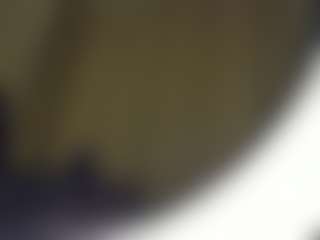 Live cam show with TynishaWilder - Striptease Teen (18+) on LiveSexCams6