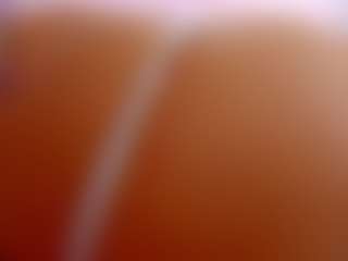 FoxySerenaX's Live Sex Cam Show