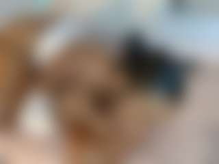 Soleymasun's Live Sex Cam Show
