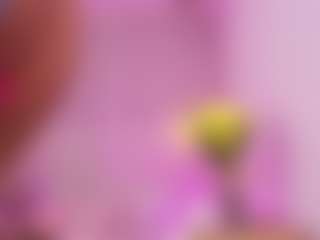 Kassia Kim's Live Sex Cam Show