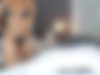NatyyRivera's Live Sex Cam Show