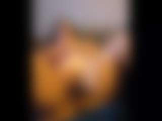 Honestlyfux's Live Sex Cam Show