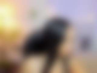 Selene-Diior's Live Sex Cam Show
