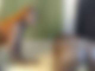 Rox and Ane's Live Sex Cam Show