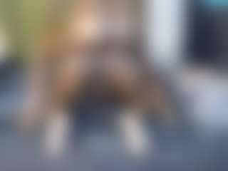 Rox and Ane's Live Sex Cam Show