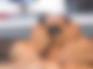 Me and my Sexy Teen Girlfriends's Live Sex Cam Show