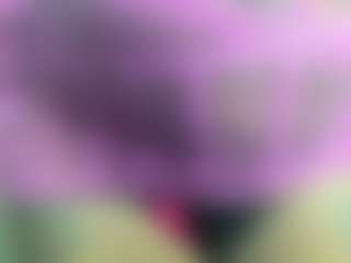Live cam show with Miss-Diamonds - Pregnant on Pornisteam.com