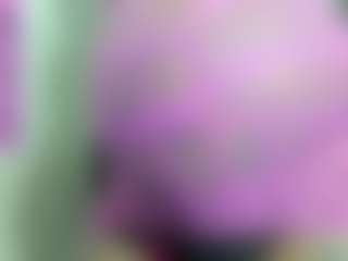 Live cam show with Miss-Diamonds - Black Fetish on Mixed Magazine Live