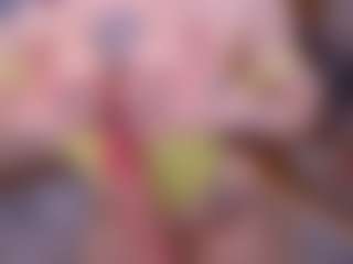 Luna's Live Sex Cam Show