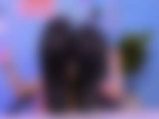sia-moon1's Live Sex Cam Show