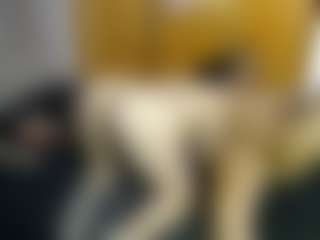 Live cam show with Candy-honey29 - Ass Clapping on Camsoda