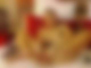 NicoleLux's Live Sex Cam Show
