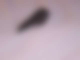 Live cam show with SadeHaff - Blonde Hair on dasdasdadada.com