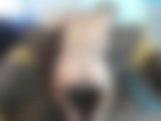 Live cam show with sebas-lopezz - Brown Hair on Camiplay Live
